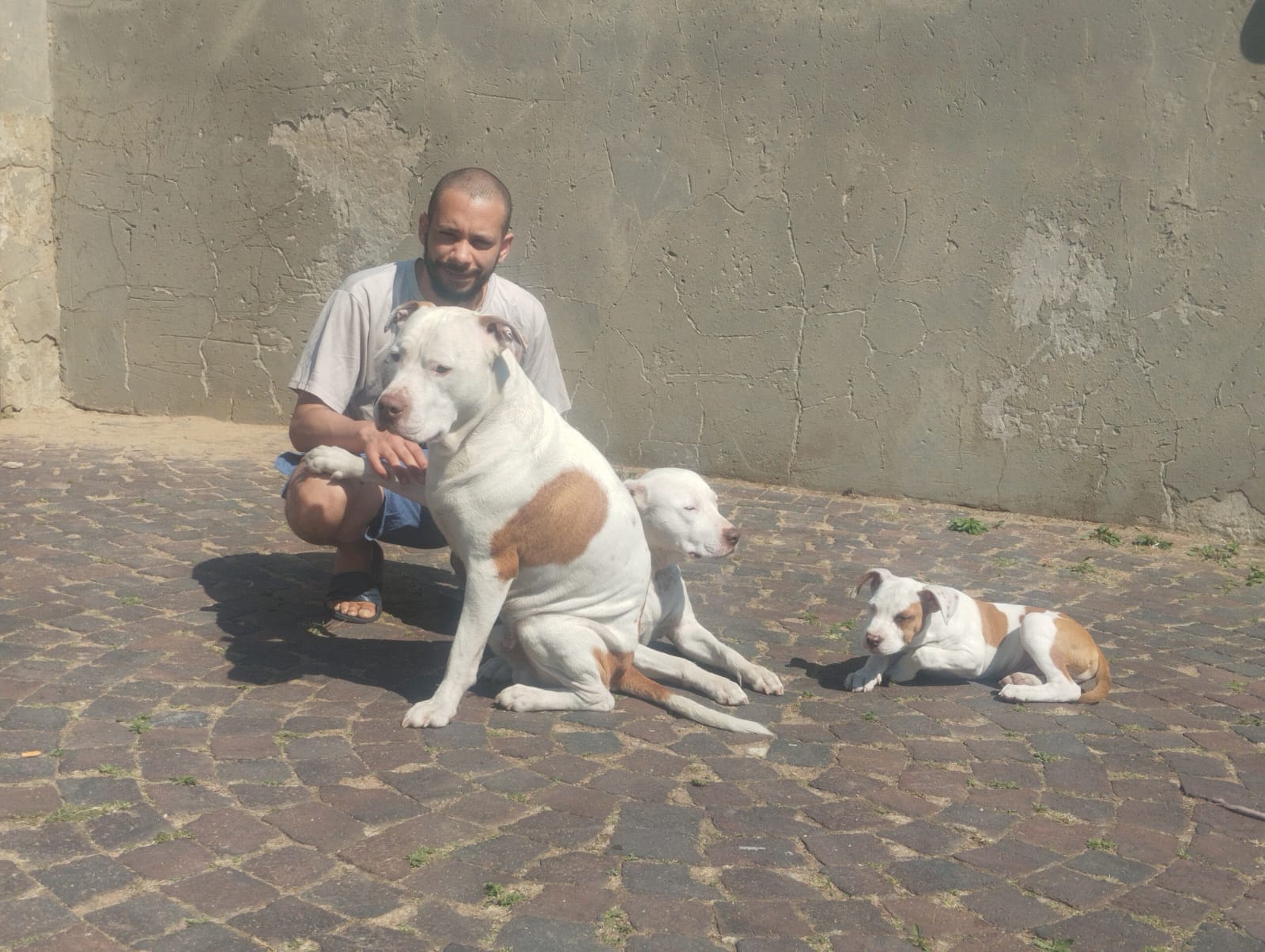 Matthew Palmer, Pawsitive Petz pet carer in Johannesburg